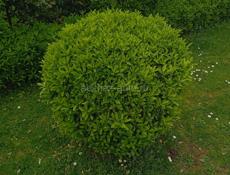 Расстояние