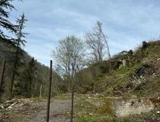 2 участка на Чанба 3.2🍋