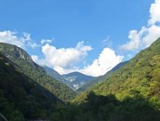 Продаю сип недорого срочно 