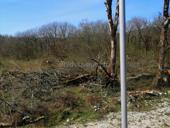 Земельный участок 