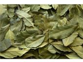 Скупка сушенного лаврового листа