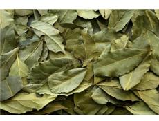 Скупка сушенного лаврового листа