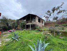 Продам дом с участком.