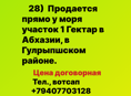 Продается у моря 1 гектар в Гулрыпшском районе, в Абхазии 