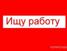 Ищу работу 