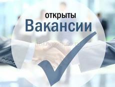 Требуется секретарь. Цандрипш