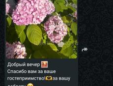 Мини гостиница"ЛИВИЯ""