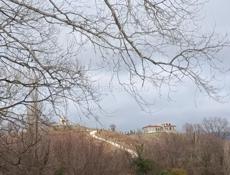 Требуется работник на ферму, выпас коз