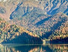 Сдам этаж дома