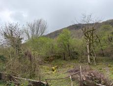 УЧАСТОК В КАМАНАХ 25 соток