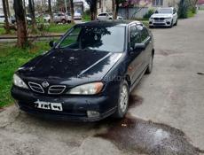 Nissan Primera