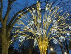 Горничная в отель