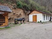 Продается объект.Все по телефону звонить по делу.