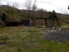 С документами 