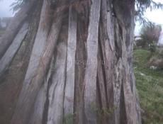 Продаётся колышки за штуку 250р