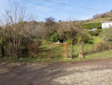 Продается участок с мандариновым садом