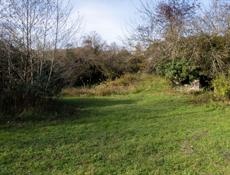 Продается участок с мандариновым садом