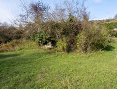 Продается участок с мандариновым садом