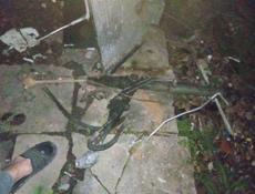 BMW x5 раздатка рулевая рейка