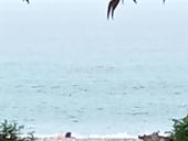 СРОЧНО ПРОДАЮ УЧАСТОК НА КАШТАКЕ 