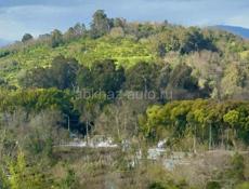 3 - К. КВАРТИРА В АГУДЗЕРЕ