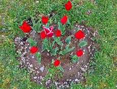 Отработка масла 1 т