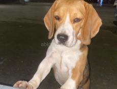 Срочно горю!!!!