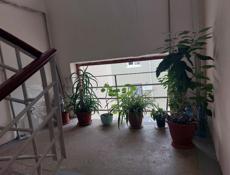 Срочно ❗❗❗