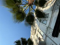 Сниму 3х комнатную квартиру в исторической части города