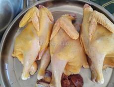 Куры свежые