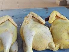 Куры свежые