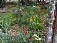 сниму квартиру. 2-комнатныие 