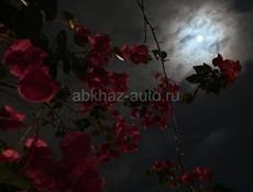  Работа На пару часов утром 