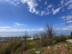 Участок 6 соток