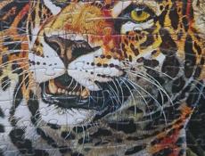 Продам или обменяю