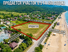 Киндги СРОЧНО