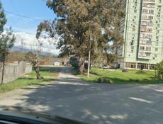 Участок у рынка.