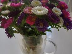 Требуется преподаватель английского языка и литературы 