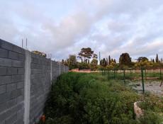 Пицунда Алахадзы, ул Морская 6,5