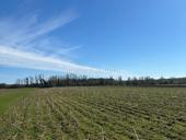 продам или обменяю на альфард 