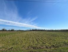 продам или обменяю на альфард 