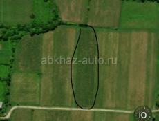 продам или обменяю на альфард 