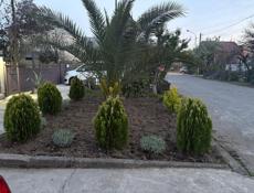 Сдаются домики посуточно летом 