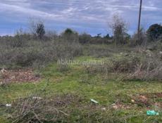 ХЫПСТА 12 соток