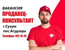 Продавец-консультант
