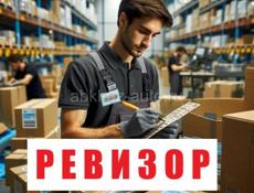 Работа в ревизионном отделе