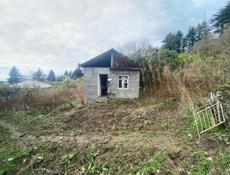 Город Гагра Сабинар 