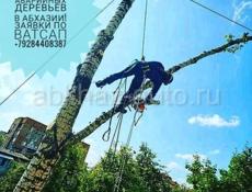 СПИЛ АВАРИЙНЫХ ДЕРЕВЬЕВ 