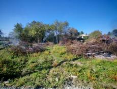 Срочно ‼️‼️