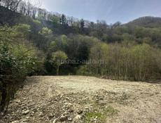 Срочно ❗️‼️